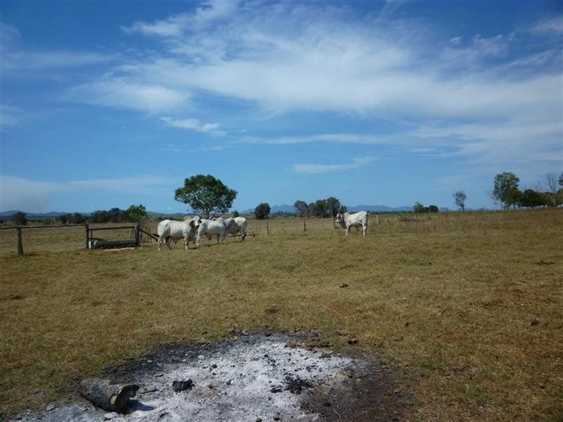 235 Milman North Road, Milman QLD 4702