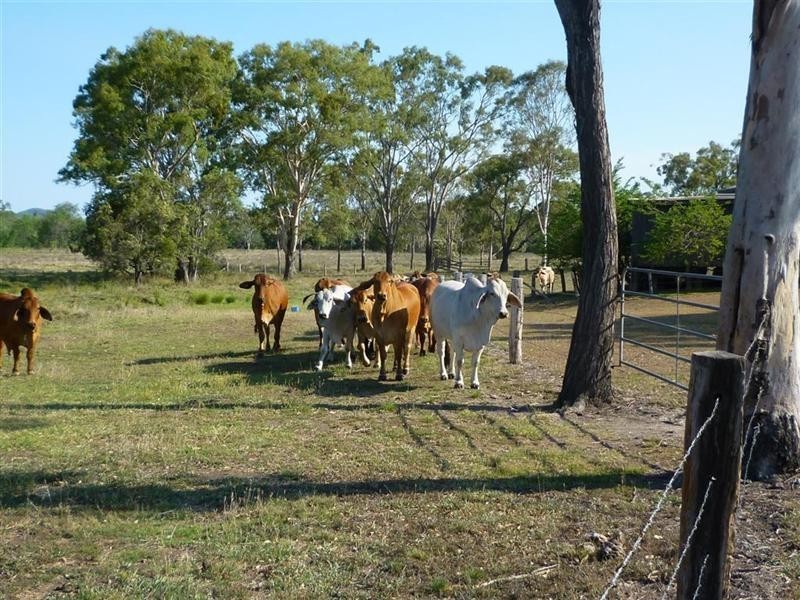 42 Christiansen Road, Rockhampton QLD 4700