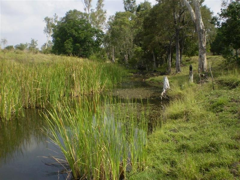 260 Shannon Road, Dalma QLD 4702