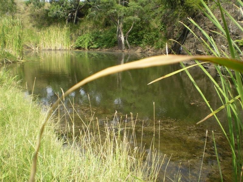 260 Shannon Road, Dalma QLD 4702