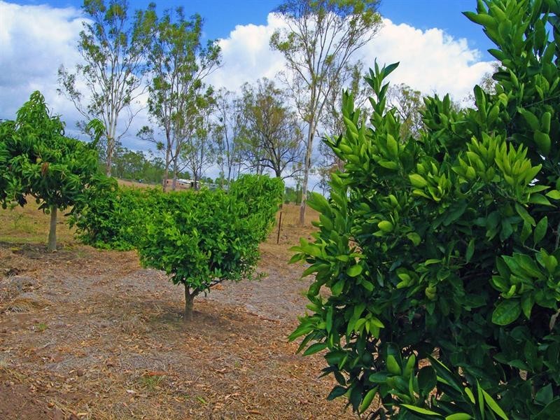 .233 Allen Road, Gracemere QLD 4702