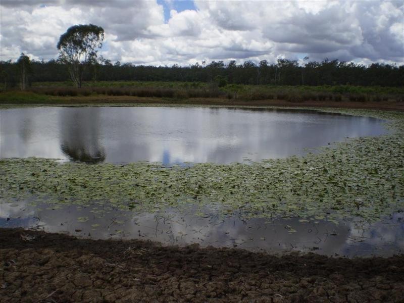 2354 Alsace Road, Dingo QLD 4702