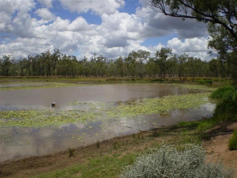 2354 Alsace Road, Dingo QLD 4702