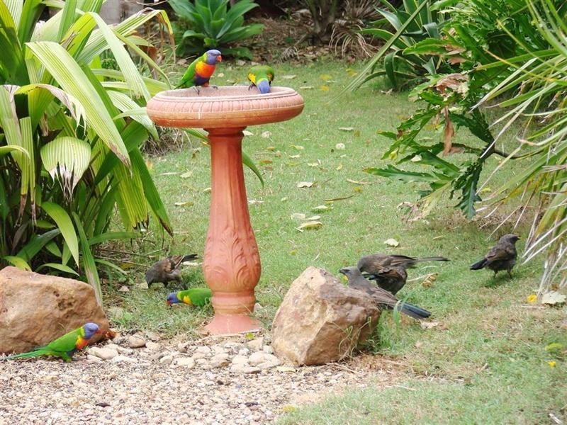 44 Fisher Street, Gracemere QLD 4702