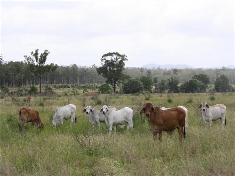 Lot 1 Atkinson Road, The Caves QLD 4702