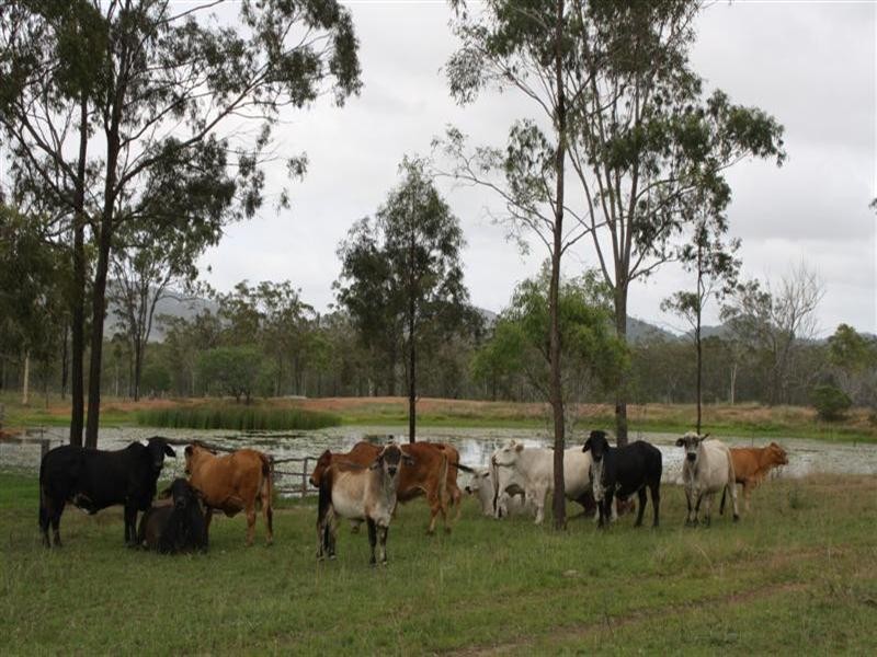 Lot 2 Atkinson Road, The Caves QLD 4702