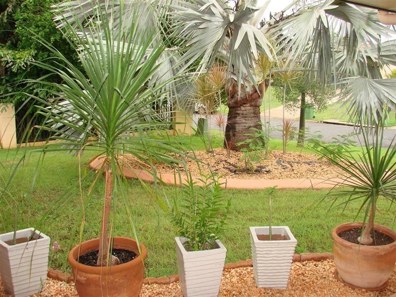 36 Rosewood Avenue, Gracemere QLD 4702