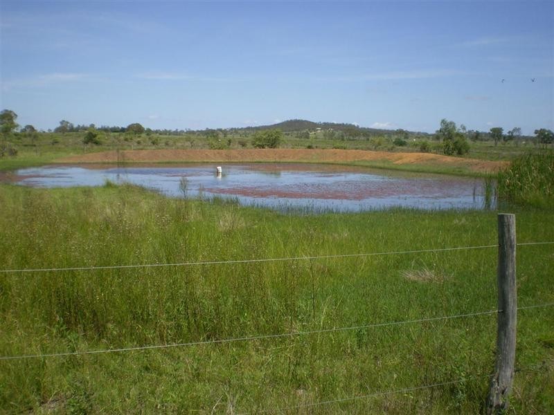 32 Rayner Road, Alton Downs QLD 4702