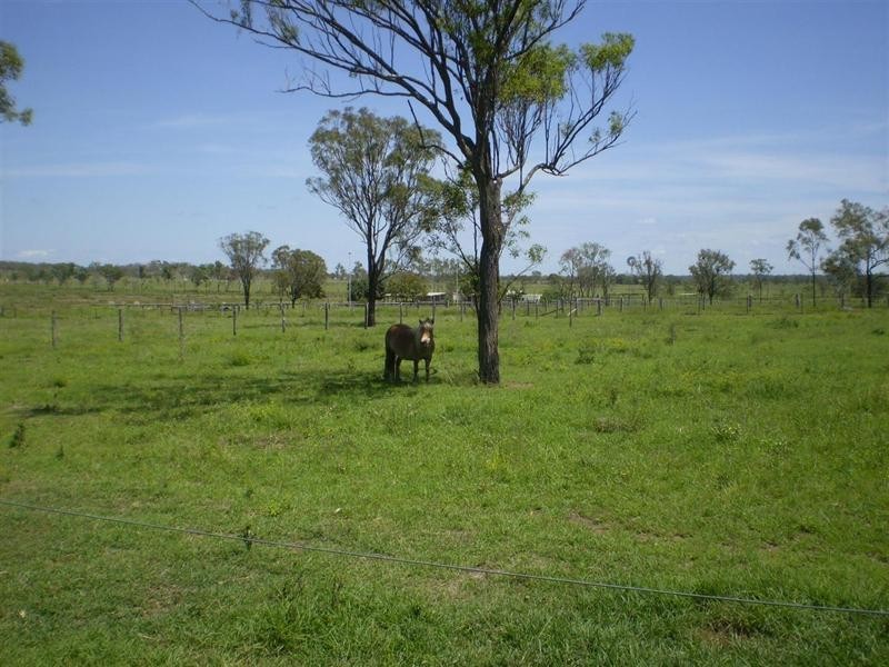 32 Rayner Road, Alton Downs QLD 4702