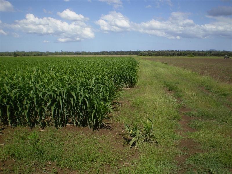 Lot 2 Birrahlee Road, South Yaamba QLD 4702