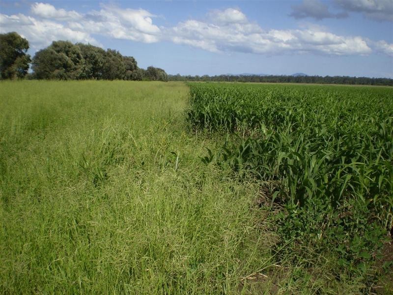 Lot 2 Birrahlee Road, South Yaamba QLD 4702