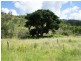 Lot 1 Randwick Lane, Mount Morgan QLD 4714