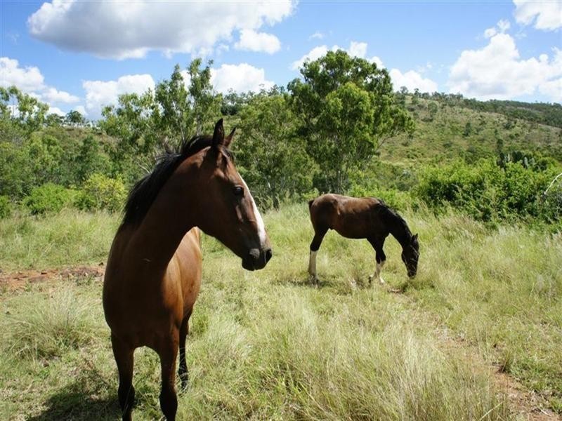 Lot 107 Randwick Lane, Mount Morgan QLD 4714