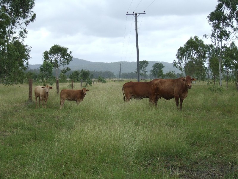 . Bruce HigHighway, Kunwarara QLD 4702
