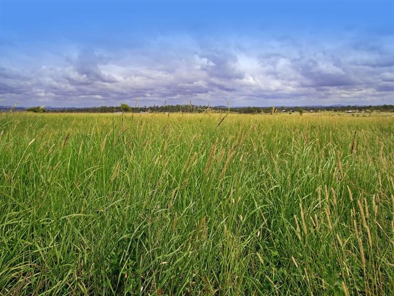 119 McKenzie Road, Alton Downs QLD 4702