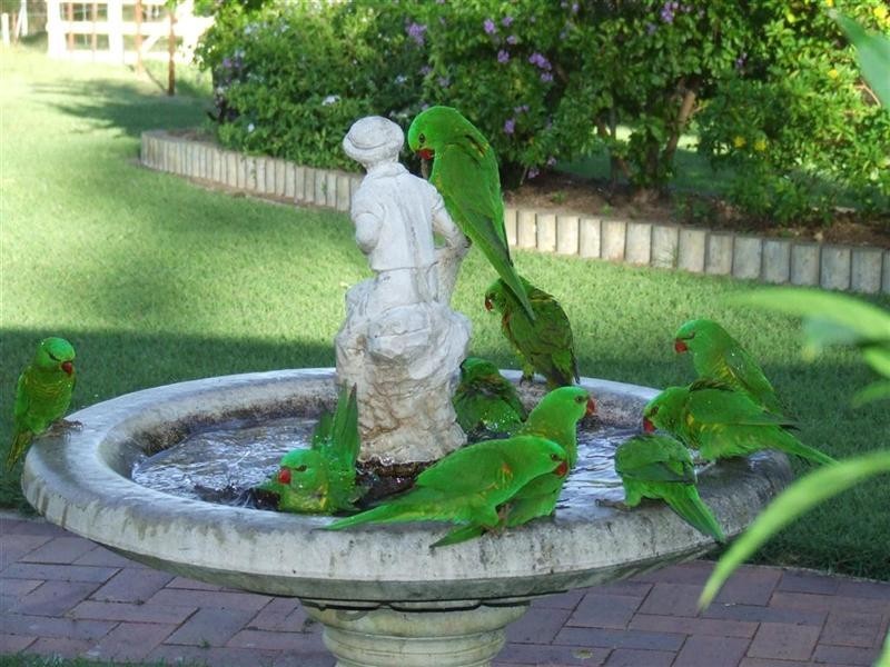 72 Caporn Road, Limestone Creek QLD 4701