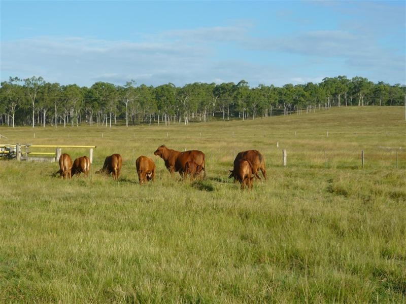 696 Lake Mary Road, Lake Mary QLD 4703