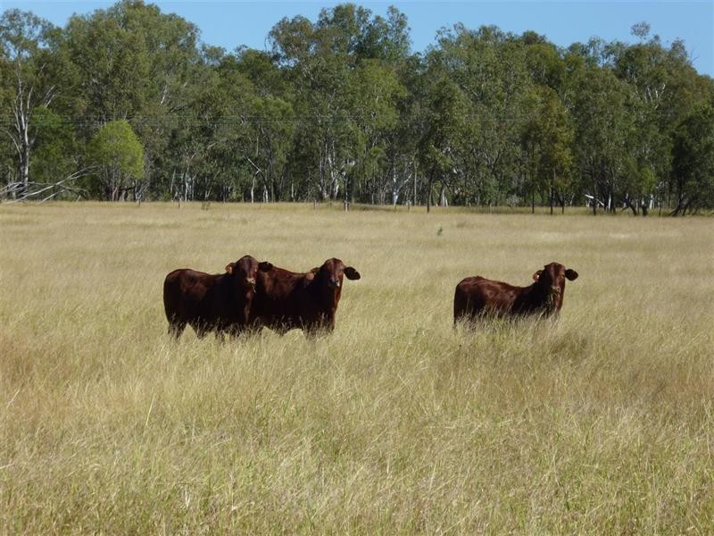 0 Boolburra-Edungalba Road, Boolburra QLD 4702