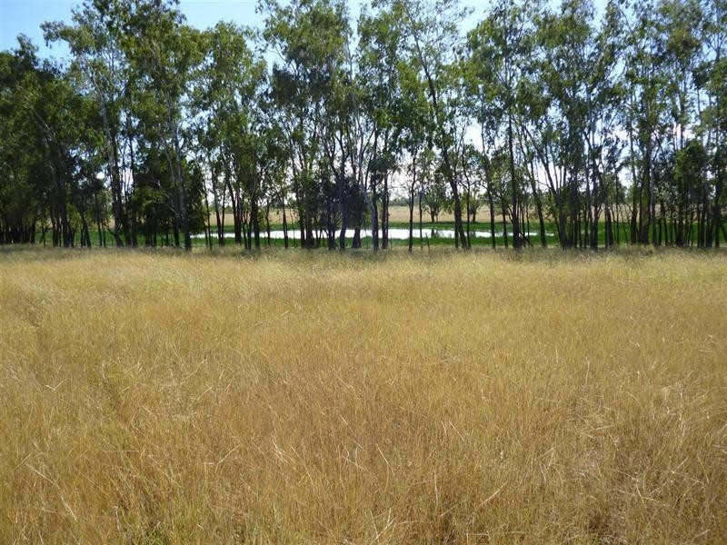 0 Boolburra-Edungalba Road, Boolburra QLD 4702