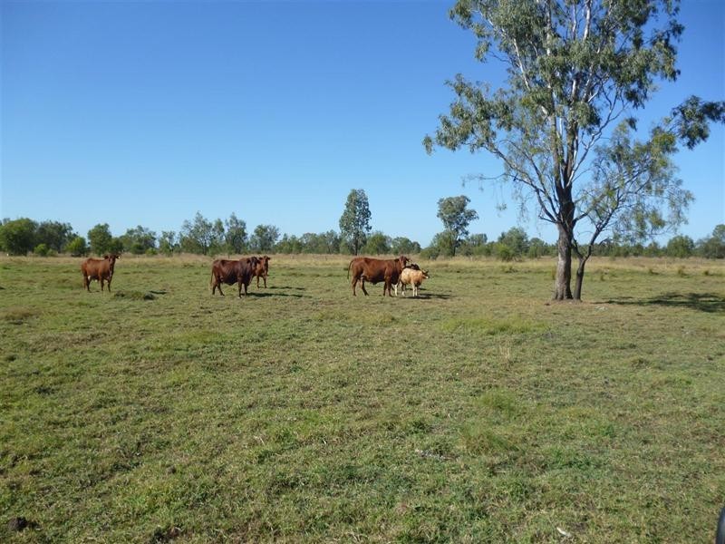 0 Boolburra-Edungalba Road, Boolburra QLD 4702