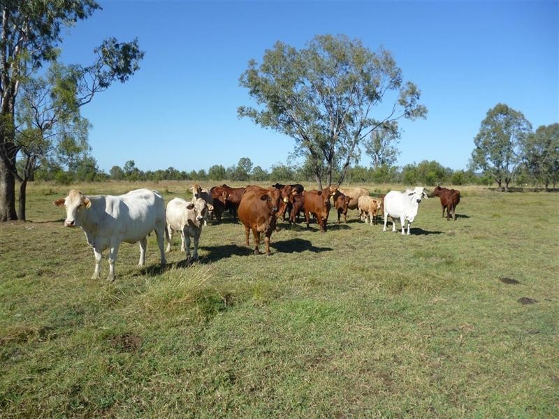 0 Boolburra-Edungalba Road, Boolburra QLD 4702