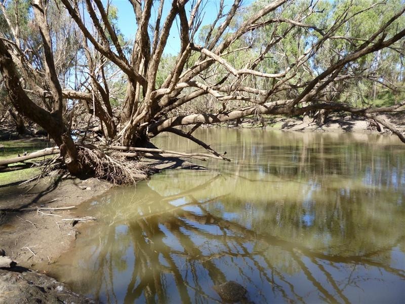 0 Boolburra-Edungalba Road, Boolburra QLD 4702