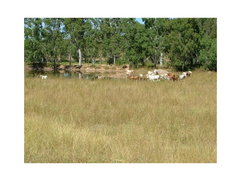 . Sarina/Marlborough Road, Sarina QLD 4737