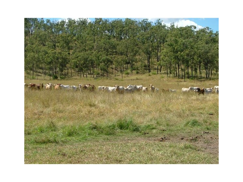 . Sarina/Marlborough Road, Sarina QLD 4737