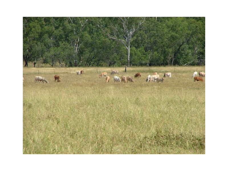 . Sarina/Marlborough Road, Sarina QLD 4737