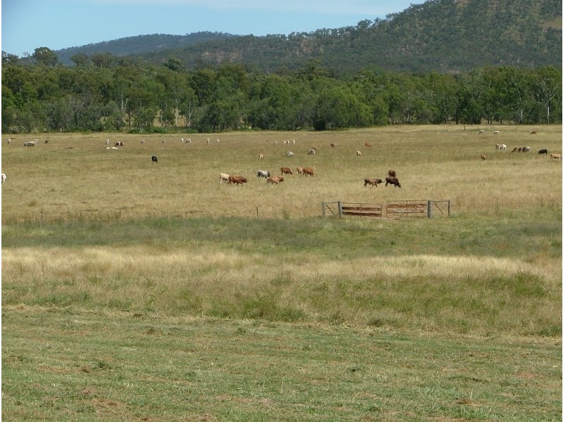 . Sarina/Marlborough Road, Sarina QLD 4737