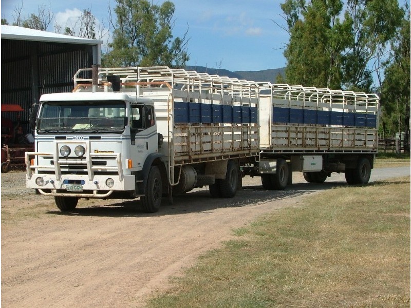 . Sarina/Marlborough Road, Sarina QLD 4737