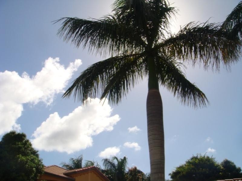 3255 The Palladian Drive, Hope Island QLD 4212