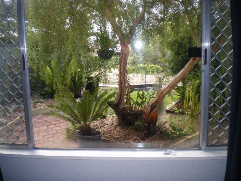 17 Gilmour Lane, Southport QLD 4215