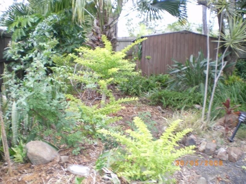 18 Hollywell Drive, Biggera Waters QLD 4216