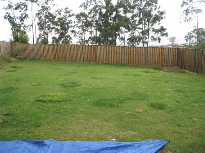 3 Bowley Street, Pacific Pines QLD 4211