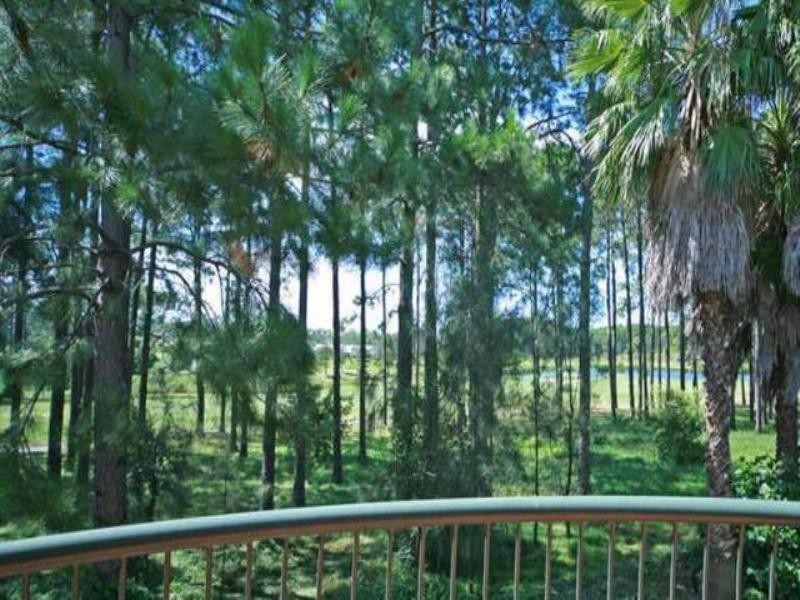 19 Ballybunyon Crescent, Hope Island QLD 4212