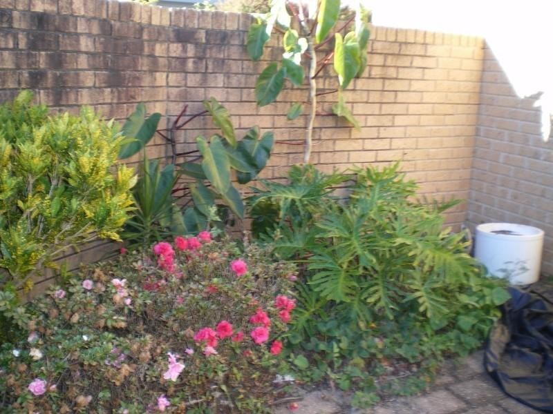 1/4 Calvary Court, Labrador QLD 4215