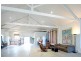 8 Hancock Street, Rozelle NSW 2039