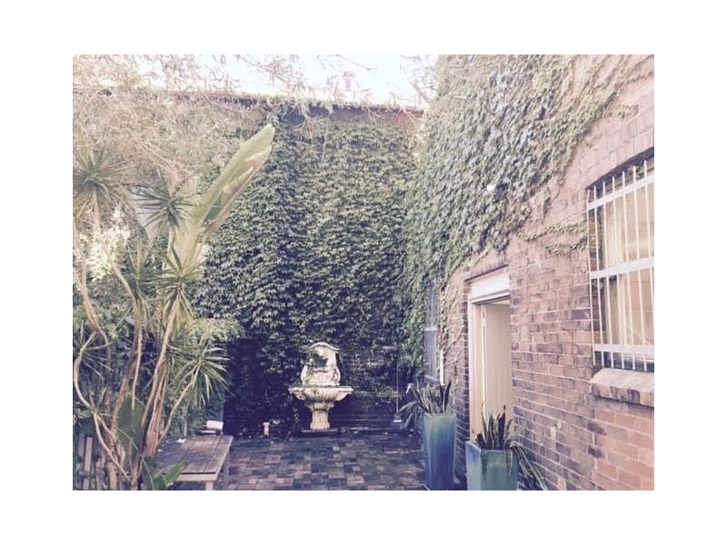 8 Hancock Street, Rozelle NSW 2039