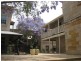 37 Alexandra Street, Hunters Hill NSW 2110