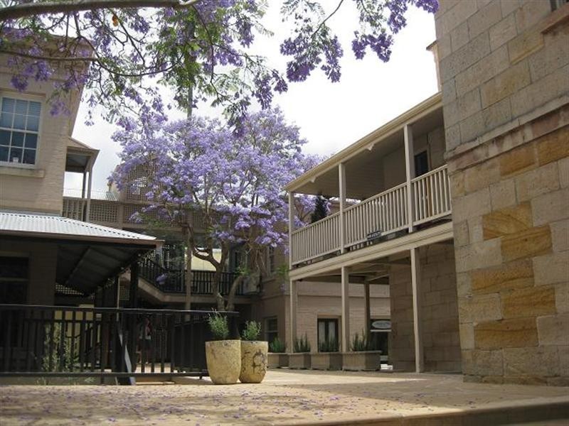 37 Alexandra Street, Hunters Hill NSW 2110