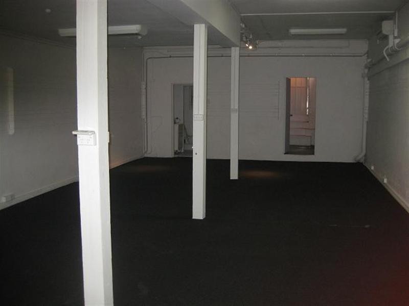 143a Beattie Street, Balmain NSW 2041