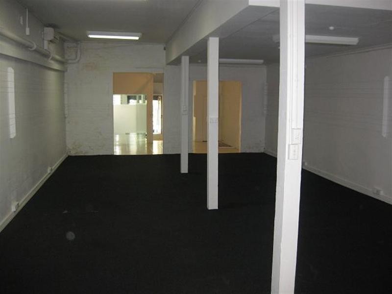 143a Beattie Street, Balmain NSW 2041