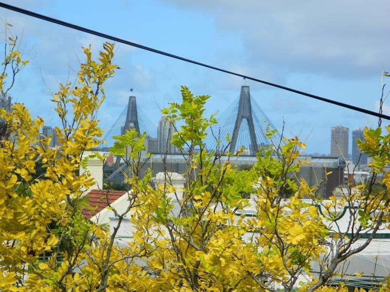 558 Darling Street, Rozelle NSW 2039