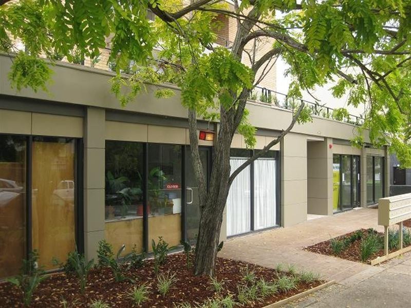 428 Darling Street, Balmain NSW 2041