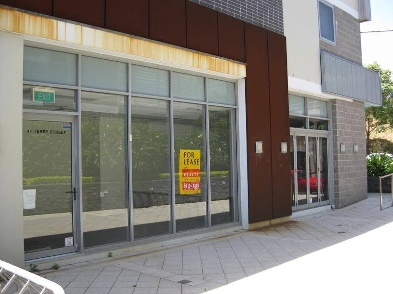 41 Terry Street, Rozelle NSW 2039