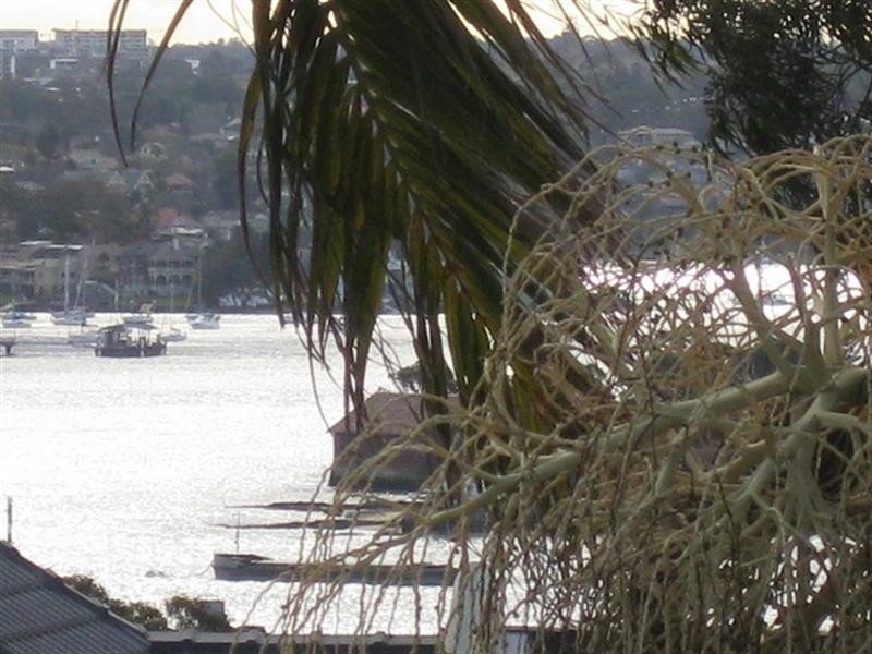 469 Darling Street, Balmain NSW 2041