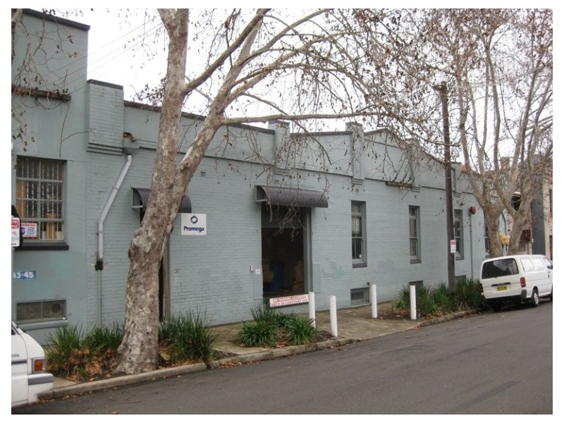 37 Nelson Street, Annandale NSW 2038