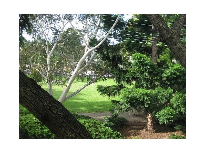 141 Beattie Street, Balmain NSW 2041