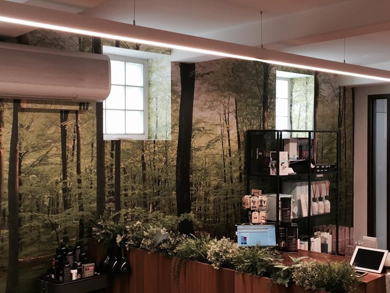 305 Darling Street, Balmain NSW 2041